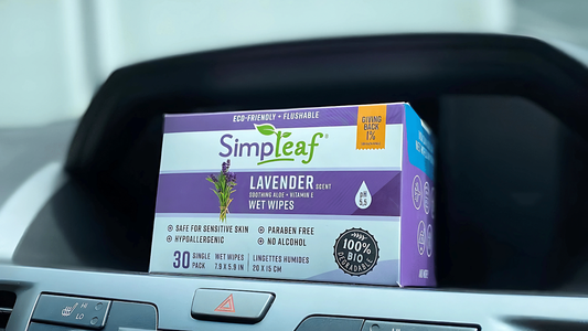 Are Flushable Wipes Really Flushable