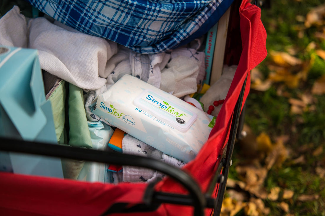 8 Diaper Bag Essentials For Moms On The Go - Simpleaf Brands