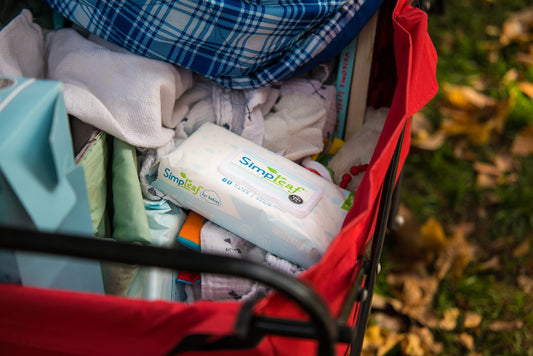 8 Diaper Bag Essentials For Moms On The Go - Simpleaf Brands