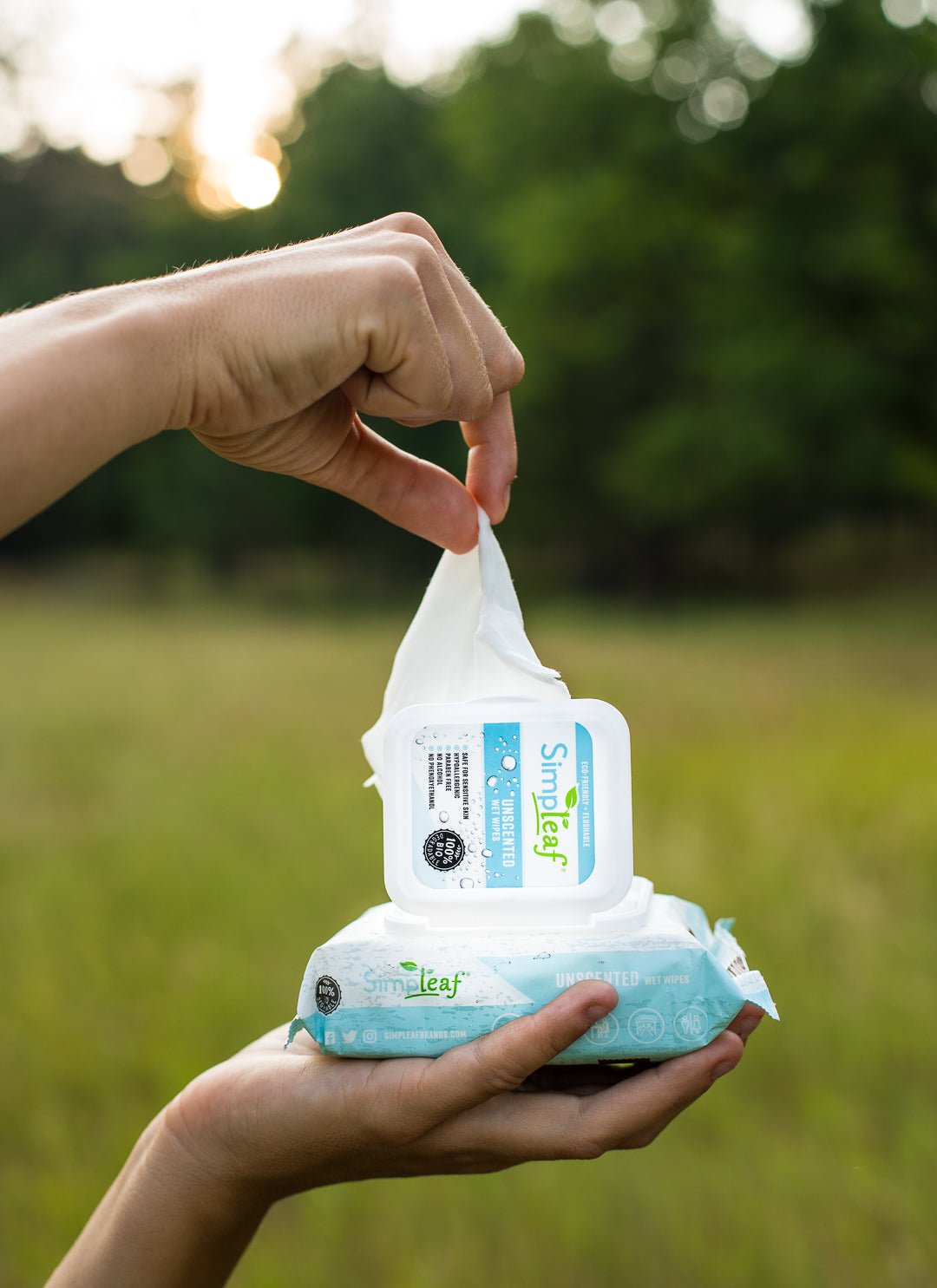 How Simpleaf is (and Strives to be More) Sustainable in 2021 - Simpleaf Brands