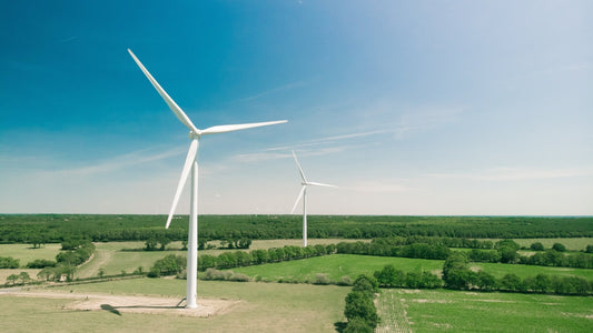 Simpleaf’s Sustainability Improvement: What do Carbon Emissions free, Carbon Offsets, and Greenwashing mean? - Simpleaf Brands